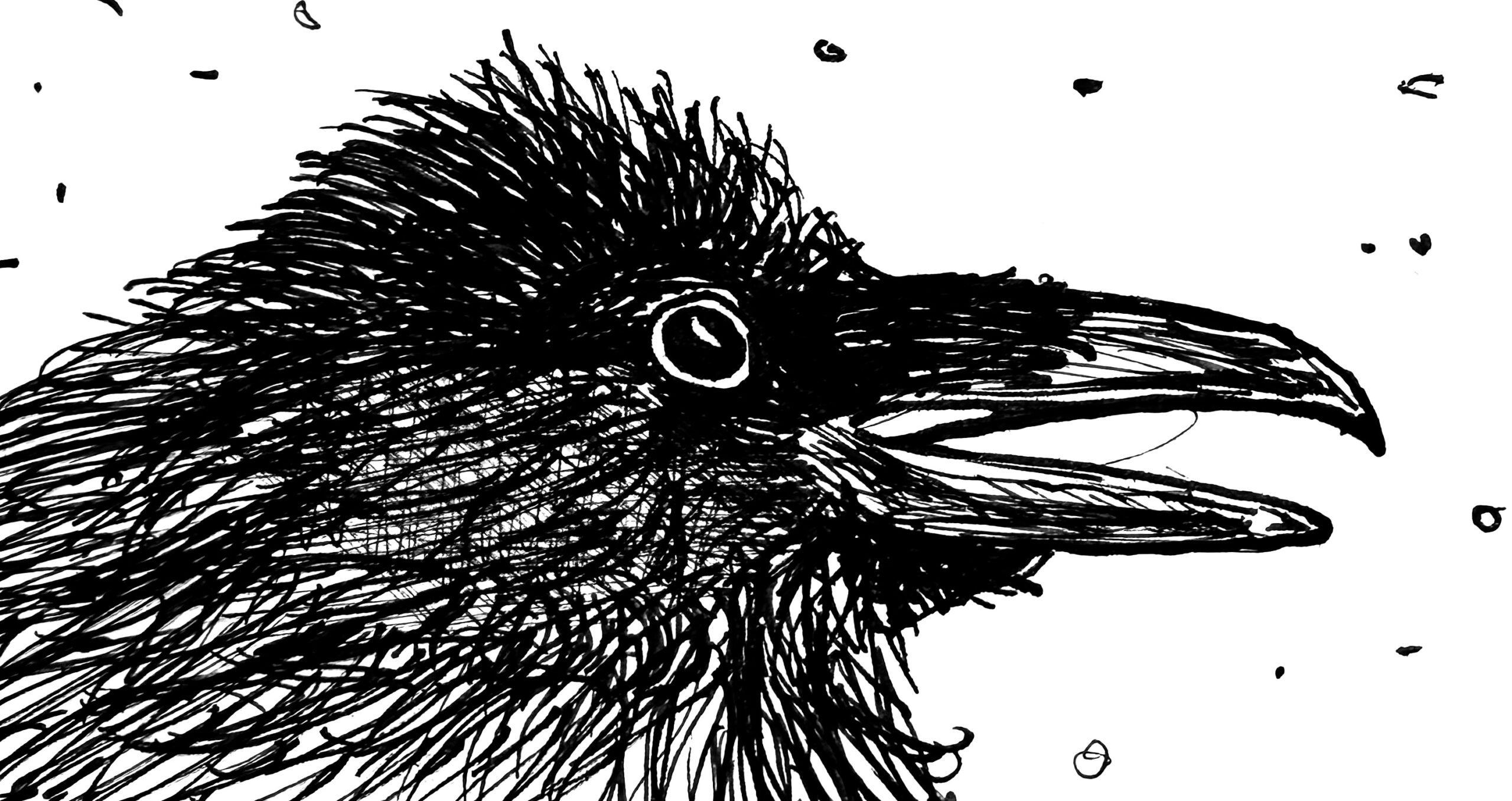 The Raven – creative writing workshop, and Poetry Café